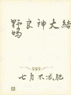 野良神大结局了吗