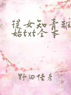 从女知青离婚开始txt全本