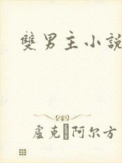 双男主小说主攻