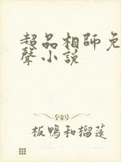 超品相师免费有声小说