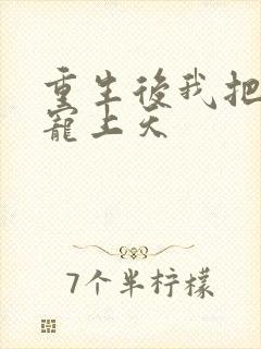 重生后我把丈夫宠上天