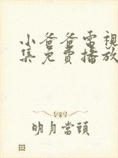 小爸爸电视剧全集免费播放