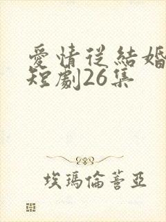 爱情从结婚开始短剧26集
