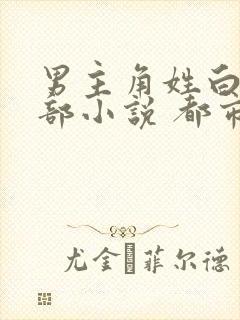 男主角姓白的全部小说 都市