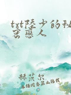 txt陆少的秘密恋人