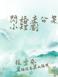 闪婚老公是豪门小短剧