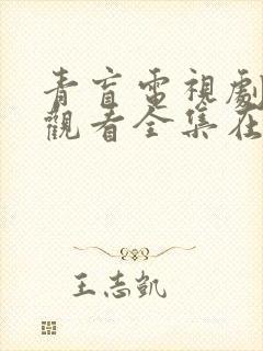 青盲电视剧免费观看全集在线观看