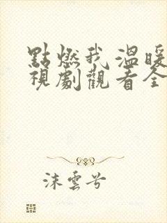 点燃我温暖你电视剧观看全集免费