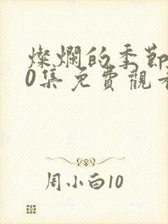 灿烂的季节第40集免费观看