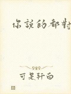 你说的都对歌词