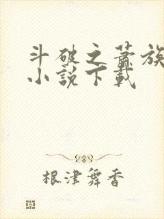 斗破之萧族冰圣小说下载