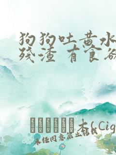 狗狗吐黄水食物残渣 有食欲大便正常