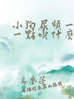 小狗尿频一会尿一点吃什么药