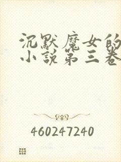 沉默魔女的秘密小说第三卷