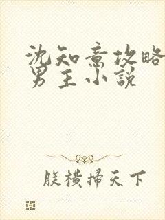 沈知意攻略四个男主小说