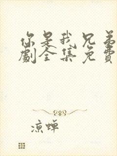 你是我兄弟电视剧全集免费观看高清