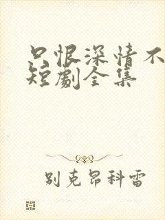 只恨深情不识鸢短剧全集