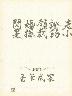 闪婚领证老公竟是总裁的小说