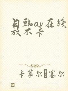 日韩av在线播放不卡