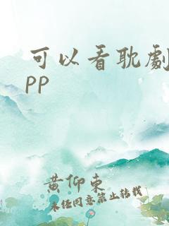 可以看耽剧的app