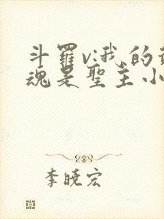 斗罗v:我的武魂是圣主小说