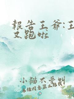 报告王爷:王妃又跑啦