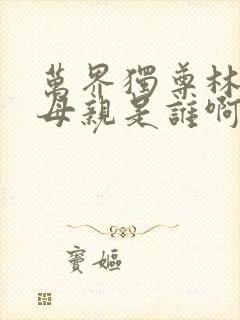 万界独尊林枫的母亲是谁啊