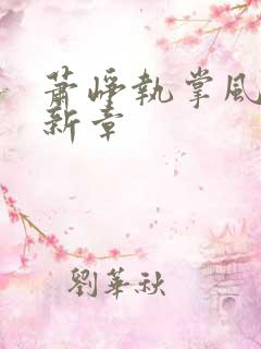 萧峥执掌风云最新章