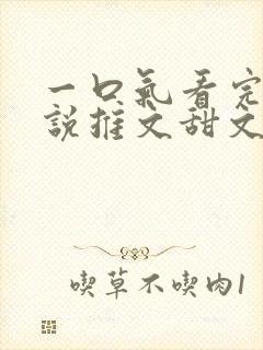 一口气看完的小说推文甜文