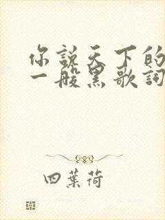 你说天下的乌鸦一般黑歌词