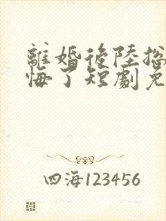 离婚后陆总他后悔了短剧免费观看