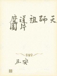 魔道祖师天子笑图片