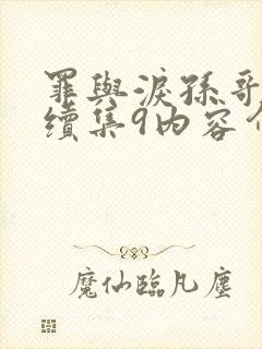罪与泪孙哥金娜续集9内容介绍