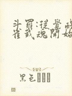 斗罗:从觉醒朱雀武魂开始 子不语1