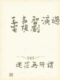 王韦智演过哪些电视剧