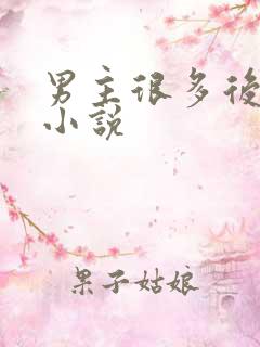 男主很多后宫的小说