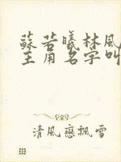 苏若曦林风小说主角名字叫什么