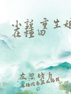 小说 重生娘子在种田