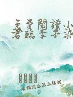 免费阅读小说叶君临李子染