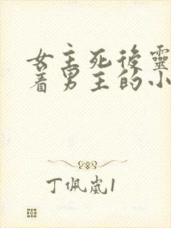 女主死后灵魂跟着男主的小说