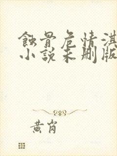 蚀骨危情淇老游小说未删版txt