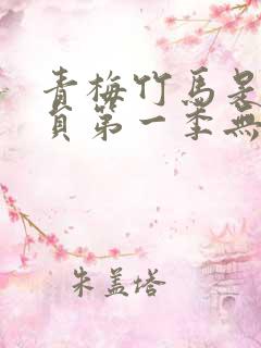 青梅竹马是消防员第一季无马赛