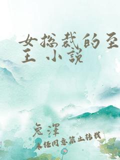 女总裁的至尊兵王 小说