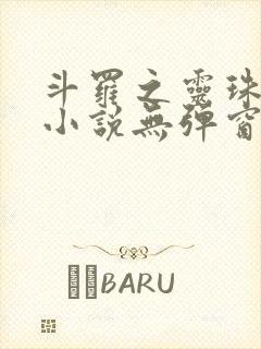 斗罗之灵珠神剑小说无弹窗口