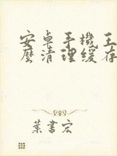 安卓手机王者怎么清理缓存内存