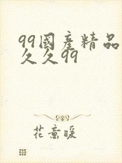 99国产精品久久久99