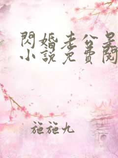 闪婚老公是总裁小说免费阅读