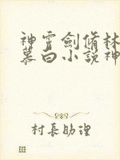 神霄剑修林枫苏慕白小说神霄