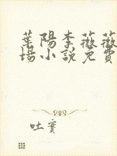 叶阳李薇薇的官场小说免费阅读