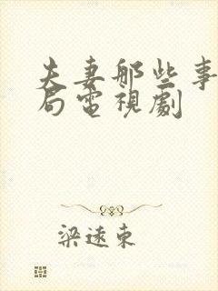 夫妻那些事大结局电视剧